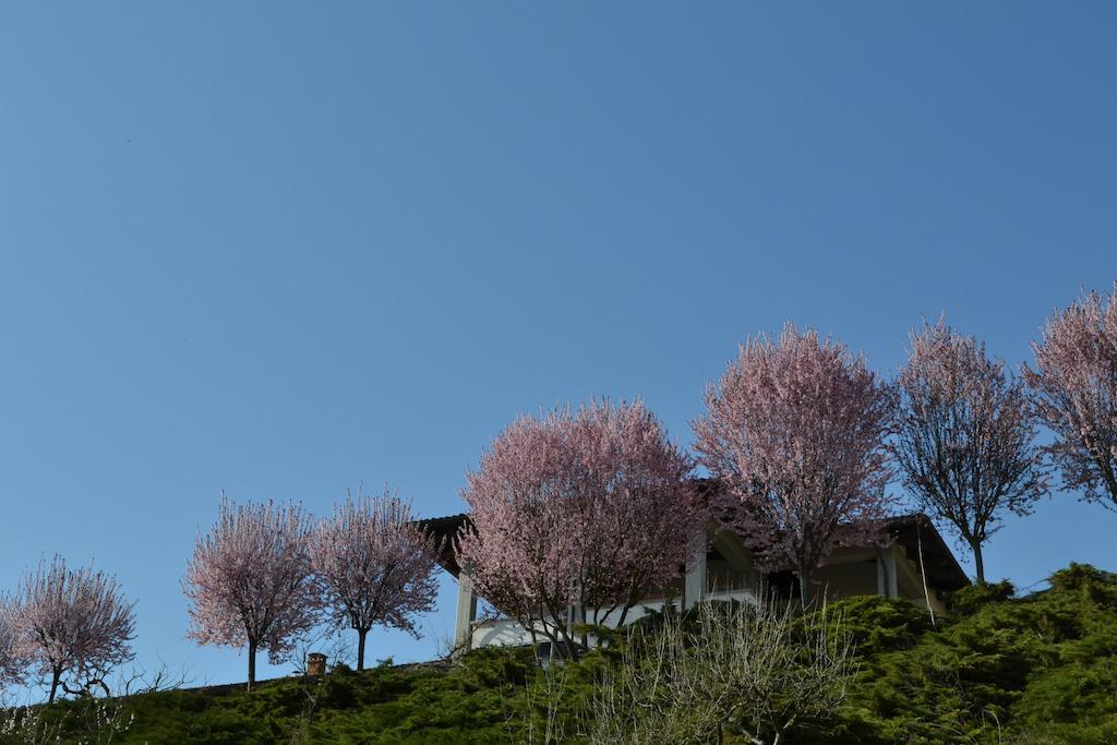 La Locanda Di Valbella Asti Luaran gambar
